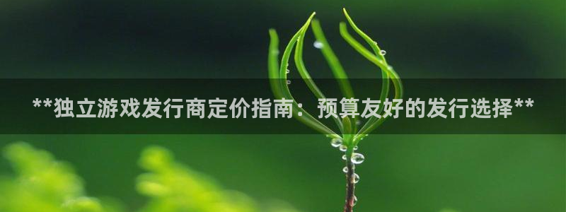 蓝狮在线注册平台是什么软件：**独立游戏发行商定价指南：预算友好的发行选择**