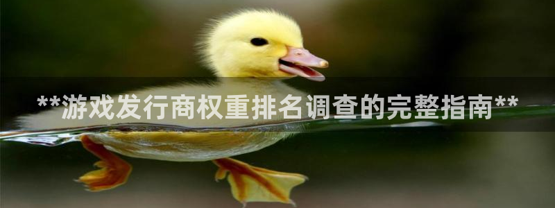 蓝狮是哪个国家的衣服品牌：**游戏发行商权重排名调查的完整指南**
