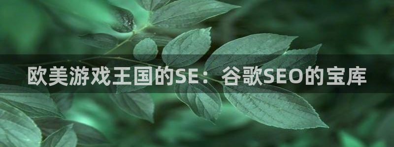蓝狮在线官网注册账号密码：欧美游戏王国的SE：谷歌SEO的宝库