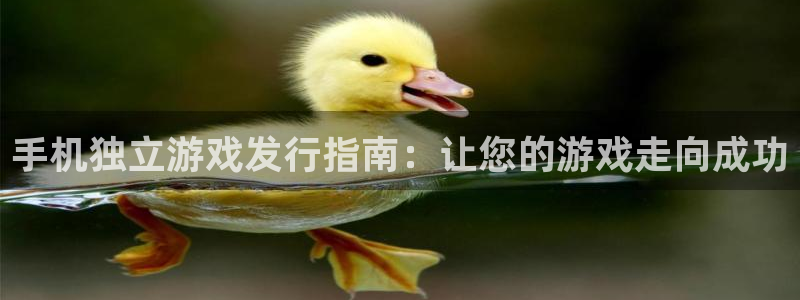 蓝狮在线登录注册账号是什么：手机独立游戏发行指南：让您的游戏走向成功