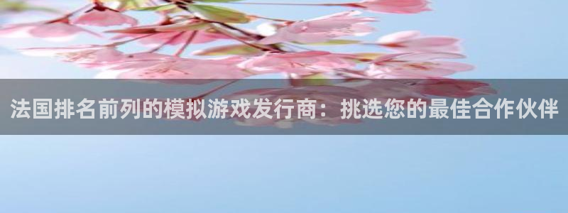 蓝狮子上市了吗：法国排名前列的模拟游戏发行商：挑选您的最佳合作伙伴