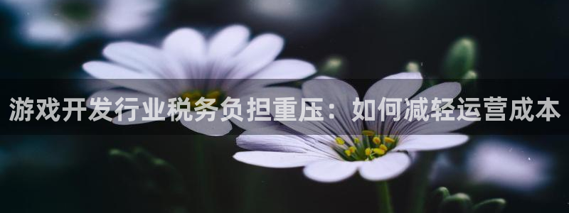 蓝狮校服：游戏开发行业税务负担重压：如何减轻运营成本