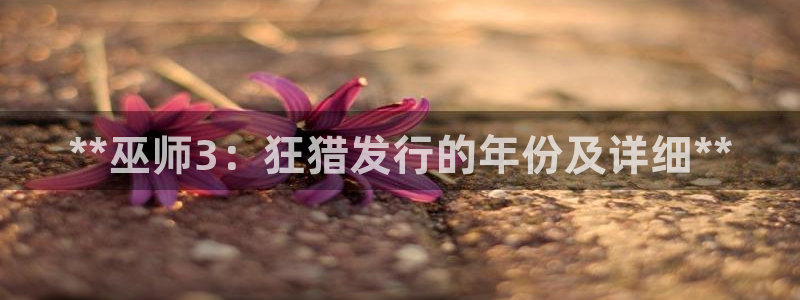 蓝狮子出版社董事长：**巫师3：狂猎发行的年份及详细**