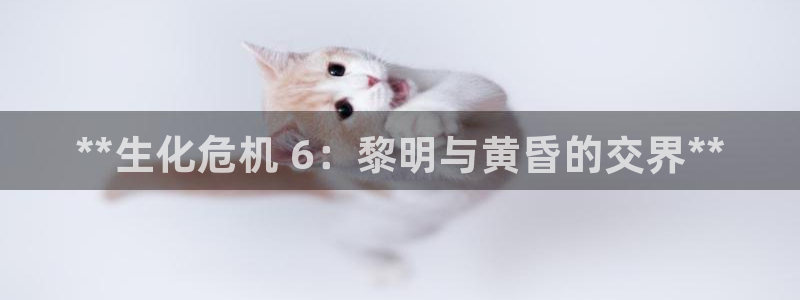 蓝狮子文化创意做什么的：**生化危机 6：黎明与黄昏的交界**