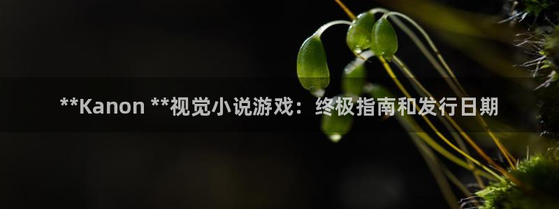 蓝狮在线解绑银行卡怎么解绑：**Kanon **视觉小说游戏：终极指南和发行日期