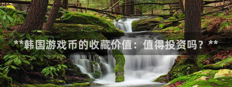 蓝狮在线客服怎么样：**韩国游戏币的收藏价值：值得投资吗？**