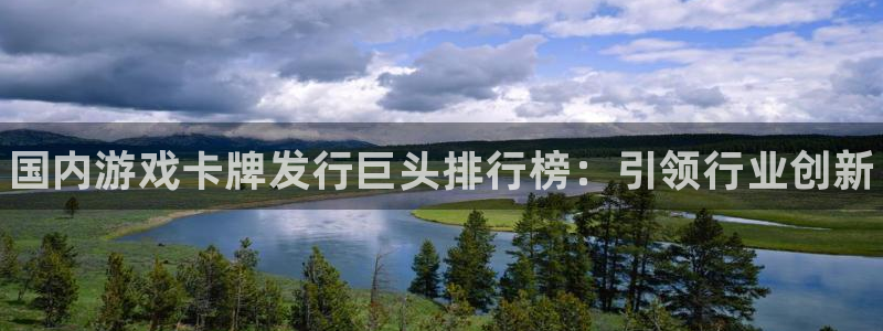 蓝狮lvnces官网