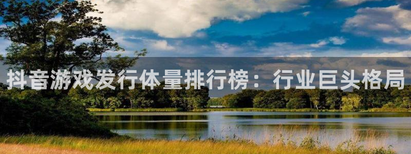 蓝狮在线注册平台怎么样可靠吗：抖音游戏发行体量排行榜：行业巨头格局