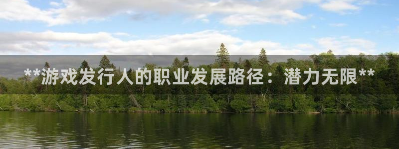 蓝狮在线挂机项目怎么样：**游戏发行人的职业发展路径：潜力无限**