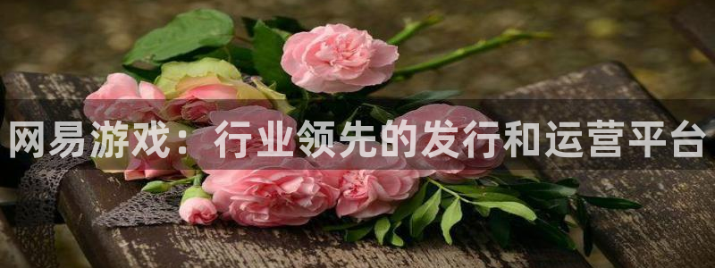 蓝狮lvnces是什么档次：网易游戏：行业领先的发行和运营平台