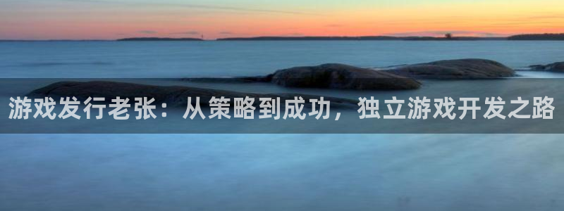 蓝狮在线注册平台官网登录：游戏发行老张：从策略到成功，独立游戏开发之路