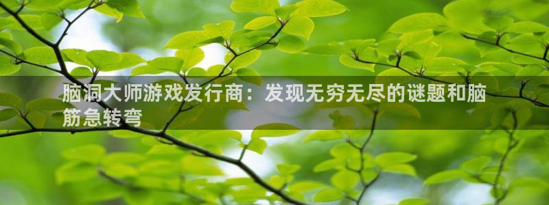 蓝狮啤酒怎么样：脑洞大师游戏发行商：发现无穷无尽的谜题和脑
筋急转弯