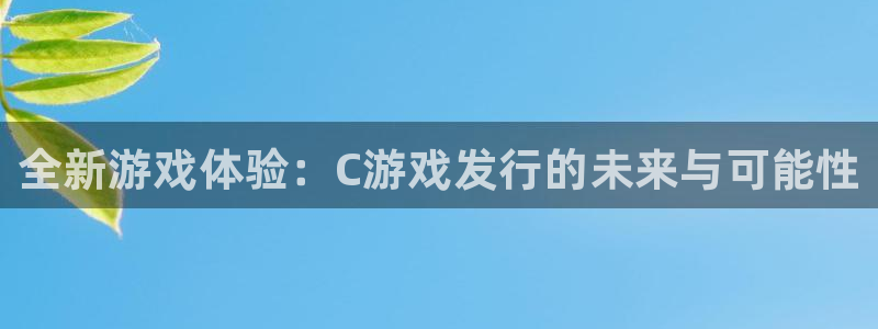 蓝狮在线游戏怎么注册：全新游戏体验：C游戏发行的未来与可能性