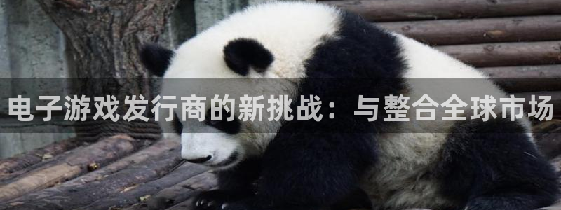 蓝狮在线登录注册账号安全吗是真的吗：电子游戏发行商的新挑战：与整合全球市场