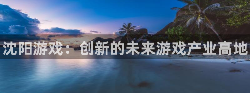 蓝狮啤酒怎么样：沈阳游戏：创新的未来游戏产业高地