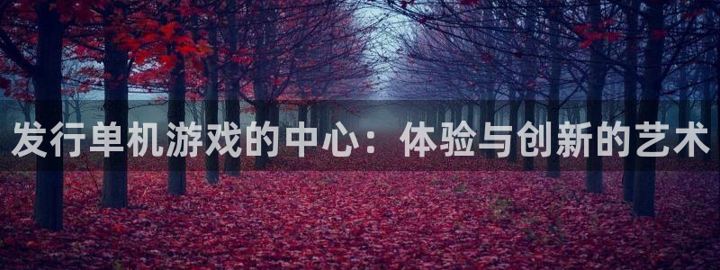 蓝狮运动装有哪些品牌：发行单机游戏的中心：体验与创新的艺术