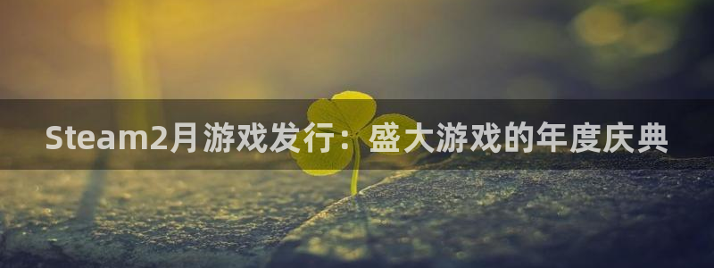 南京蓝狮子电子商务有限公司