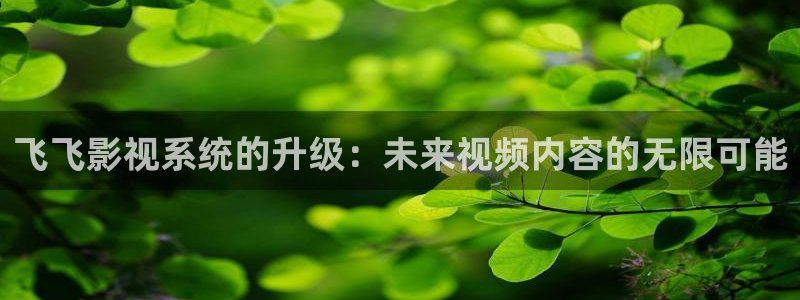 战地英雄电影免费观看