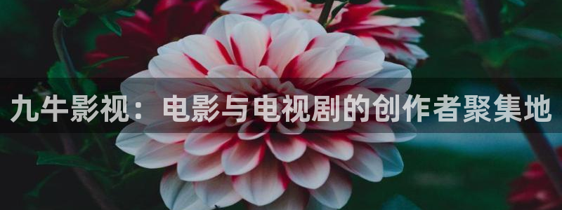 战地影院