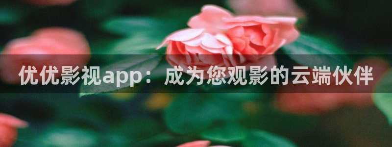 战地影视网