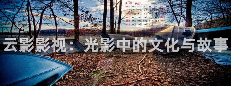 年轻的姐夫战地影院：云影影视：光影中的文化与故事