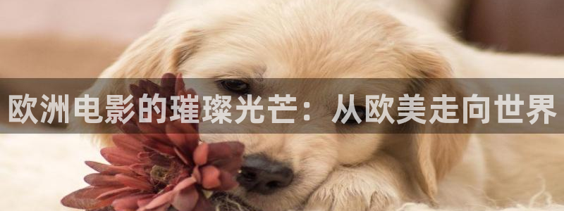战地影院1080p高清电影在线观看：欧洲电影的璀璨光芒：从欧美走向世界