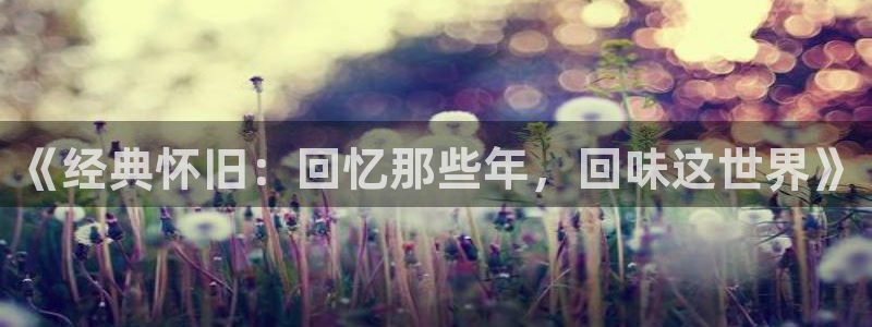 电影战地之狼：《经典怀旧：回忆那些年，回味这世界》