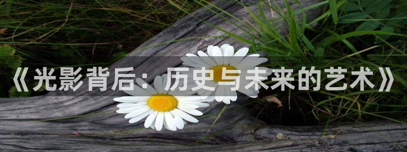 战地影视