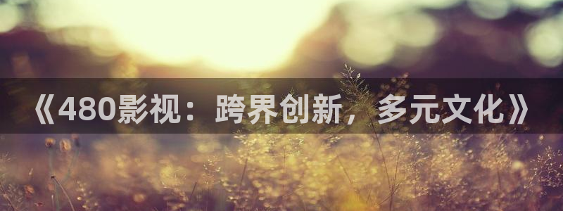 战地影院1080p高清：《480影视：跨界创新，多元文化》
