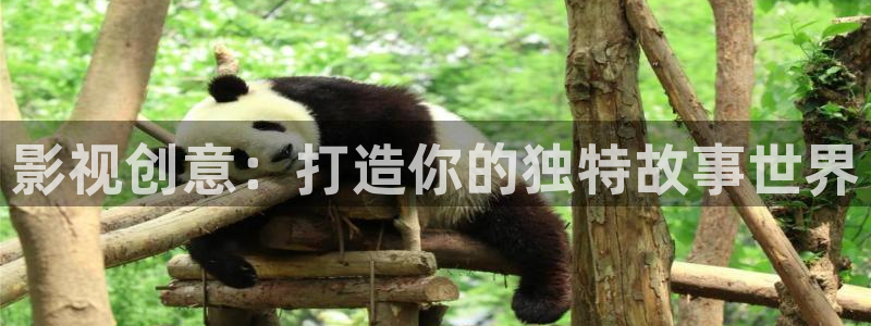战地影院在线：影视创意：打造你的独特故事世界