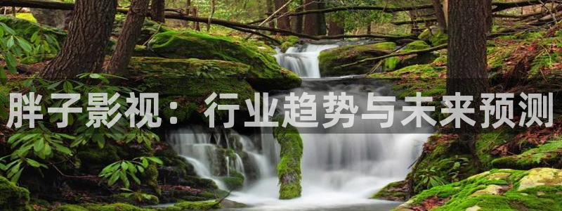 战地影院里的韩国电影有哪些：胖子影视：行业趋势与未来预测